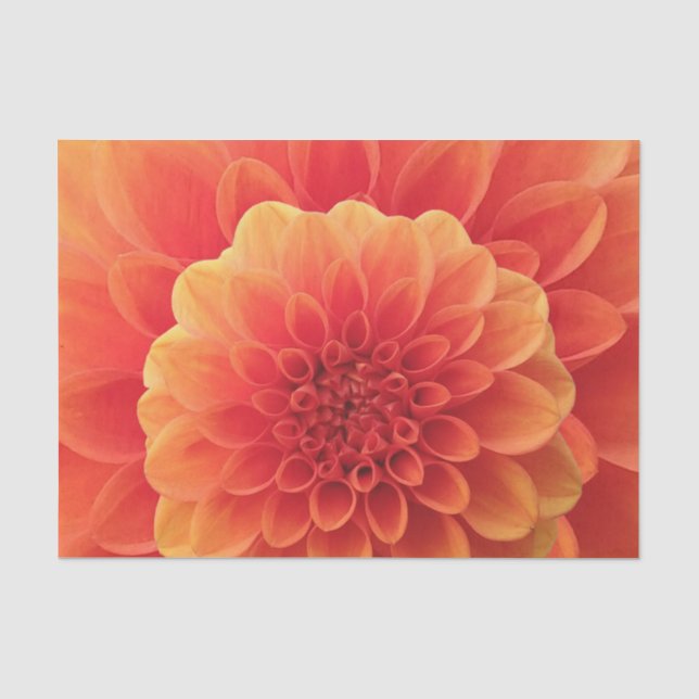 Papel De Seda Orange Dahlia (Frente )