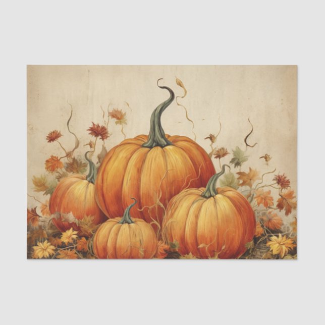 Papel De Seda Orange Pumpkins Rustic Autumn (Frente )