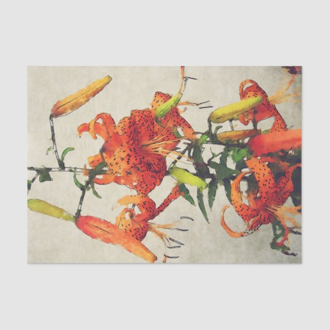 Papel De Seda Orange Watercolor Tiger Lily 1 (Frente )