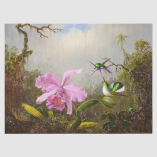 Papel De Seda Orquídea de Cattleya com dois beija-flores brasile
