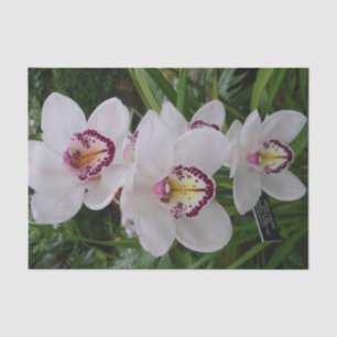 Papel De Seda Orquídeas Brancas Lindas Flores Tropicais