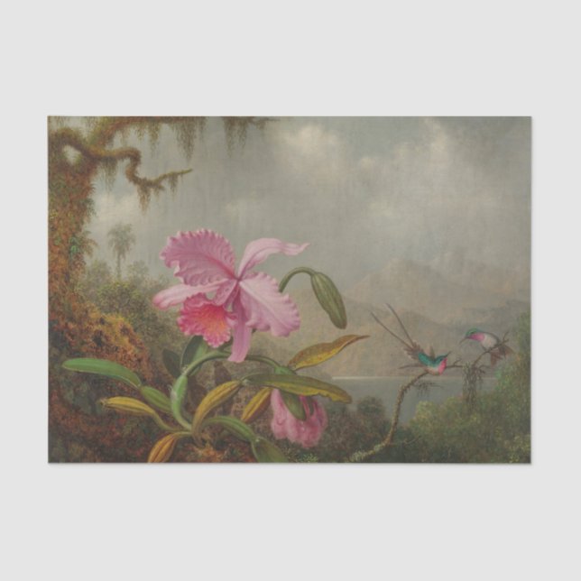 Papel De Seda Orquídeas e Hummingbird por Martin Johnson Heade (Frente )