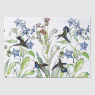 Papel De Seda Os pássaros Starflower do colibri florescem o