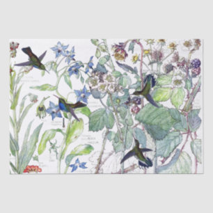 Papel De Seda Os pássaros Starflower do colibri florescem o