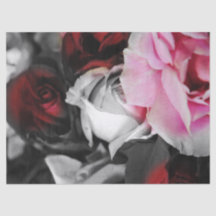 Os rosas preto e branco desvanecem-se