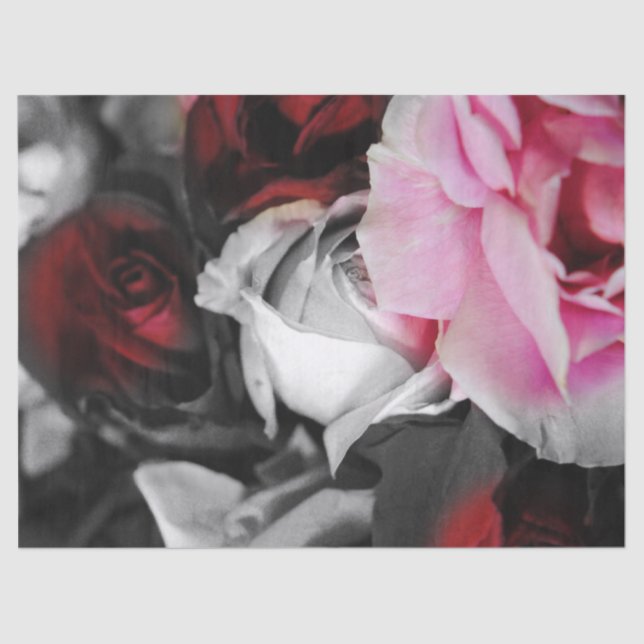 Papel De Seda Os rosas preto e branco desvanecem-se (Frente )