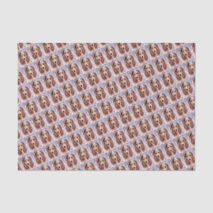 Papel De Seda Ouro COLLIE AMIGÁVEL