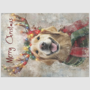 Papel De Seda Ouro de Dissociação - Antiguadores e Natal