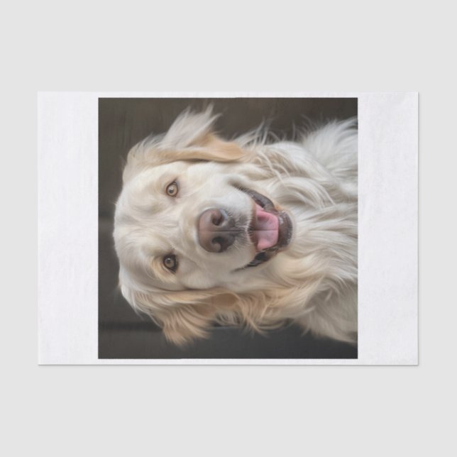 Papel De Seda Ouro Inglês Retriever11 (Frente )