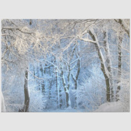 Papel De Seda outra terra maravilhosa do inverno