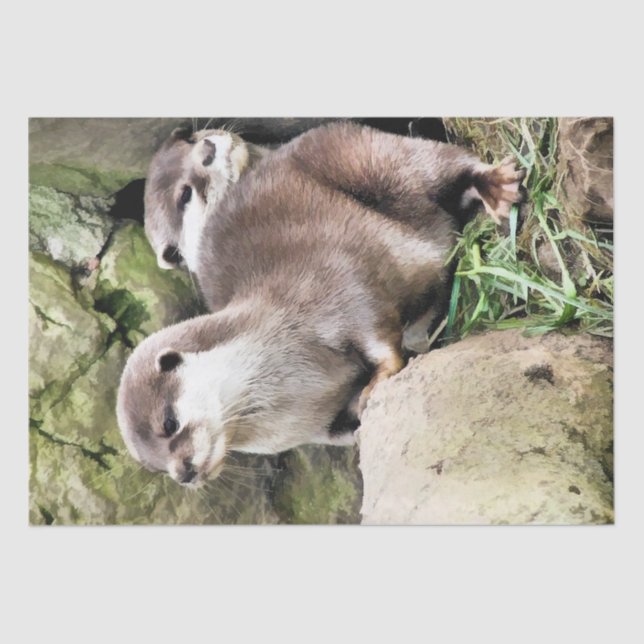 PAPEL DE SEDA OUTROS (Frente )