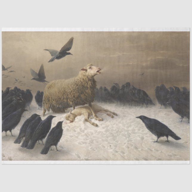 Papel De Seda Ovelha com Morto (Frente )