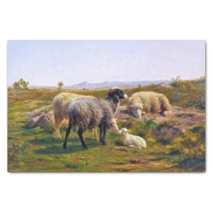 Papel De Seda Ovelha e carneiro na natureza (por Rosa Bonheur)