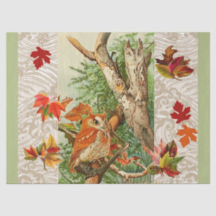 PAPEL DE SEDA OWLS ENTRE AS FOLHAS DE CICLO EM WODLAND