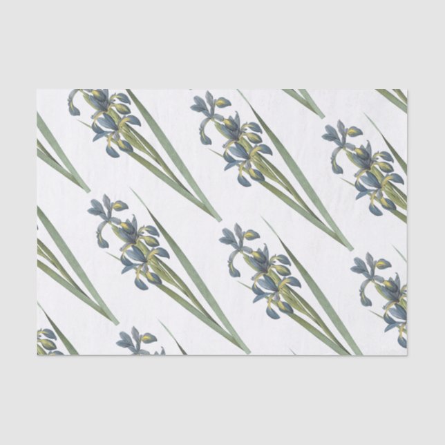 Papel De Seda Padrão da flor da íris da borboleta (Frente )