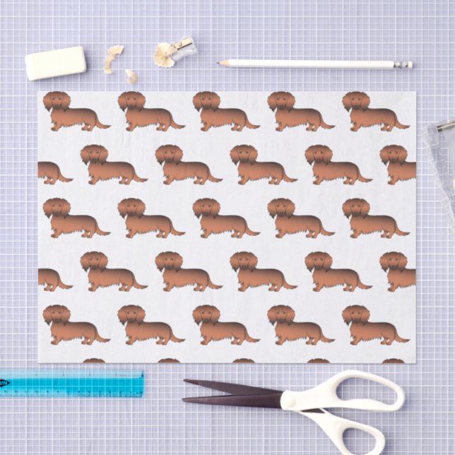 Papel De Seda Padrão de Cachorro de Desenho Dachshund de Pelo Lo (Arte )