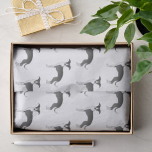 Papel De Seda Padrão de cachorro italiano Greyhound preto e bran