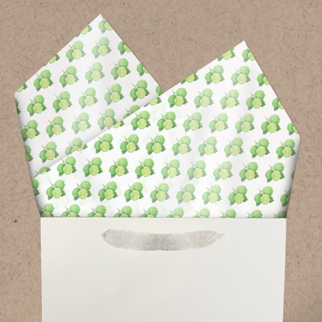 Papel De Seda Padrão de Citrus Bergamot da Aquarela (Criador carregado)