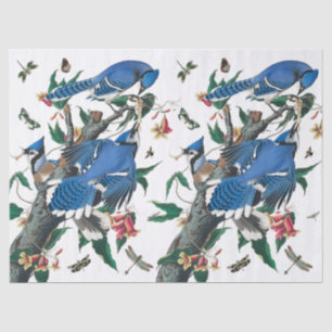 Papel De Seda Padrão de Colagem de Aves Azuis Vintage.