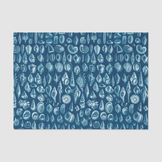 Papel De Seda Padrão de Conchas Azuis e Brancas (Frente )