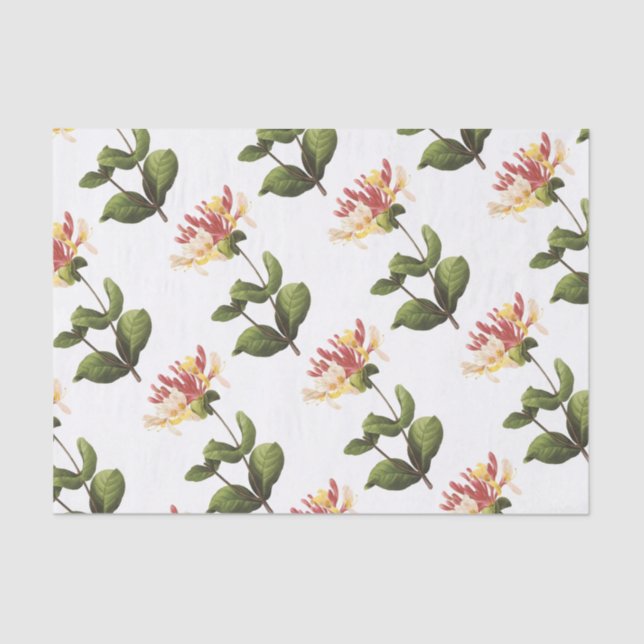 Papel De Seda Padrão de Flor de Honeysuckle (Frente )