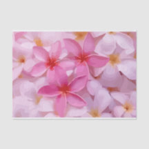 Padrão de Flor de Plumeria Rosa
