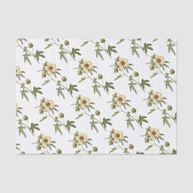 Papel De Seda Padrão de Flor do Hibiscus trionum (Frente )