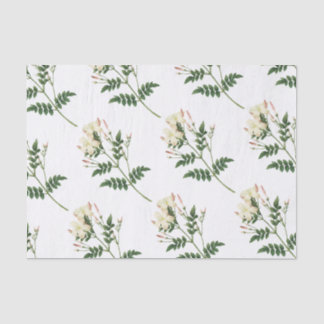 Papel De Seda Padrão de Flor Jasmine