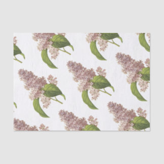 Papel De Seda Padrão de Flor Lilac