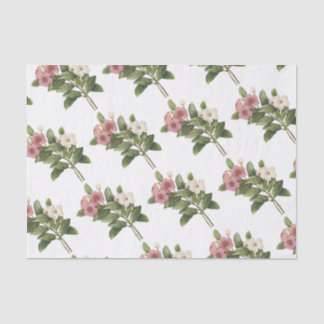 Papel De Seda Padrão de Flor Periwinkle