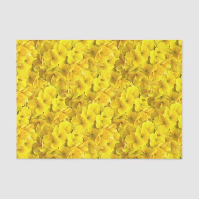 Papel De Seda Padrão de Flores de Primrose Amarela (Frente )