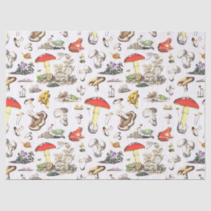 Papel De Seda Padrão de Floresta de Caracóis de Sapo de Cogumelo