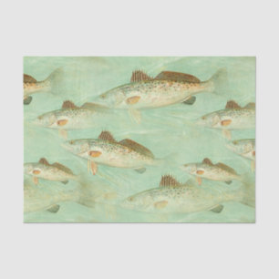 Papel De Seda Padrão de ilustração de cor da safra de peixes