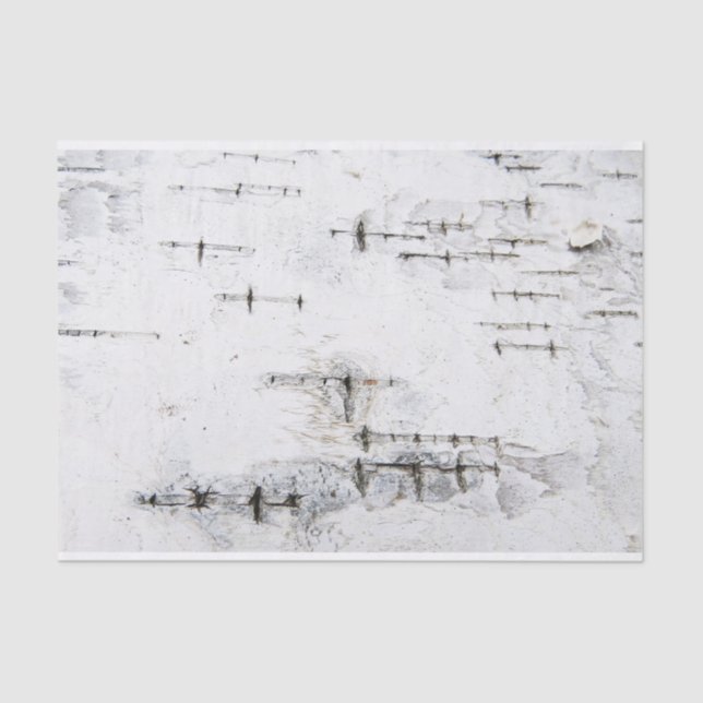 Papel De Seda Padrão de latido de aves (Frente )