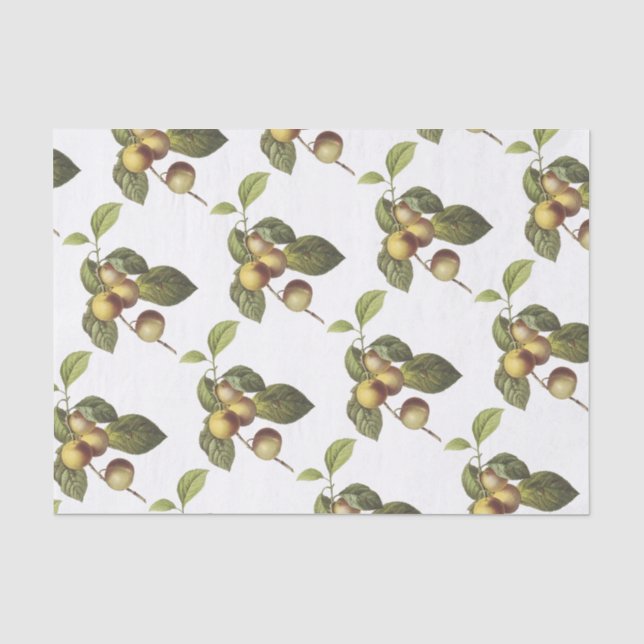 Papel De Seda Padrão de maçã de caranguejo (Frente )