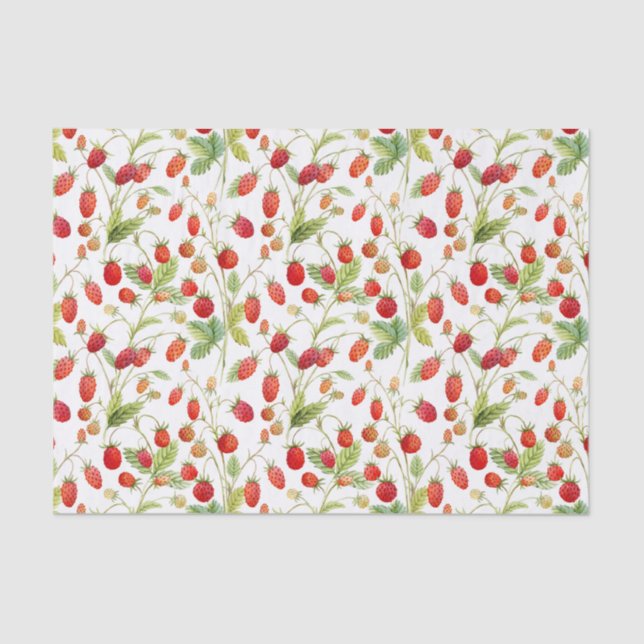 Papel De Seda Padrão de Morango Selvagem de Aquarela (Frente )