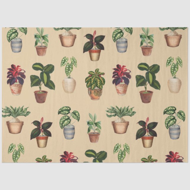 Papel De Seda Padrão de Potes Terracotta de Plantas Potentes de  (Frente )