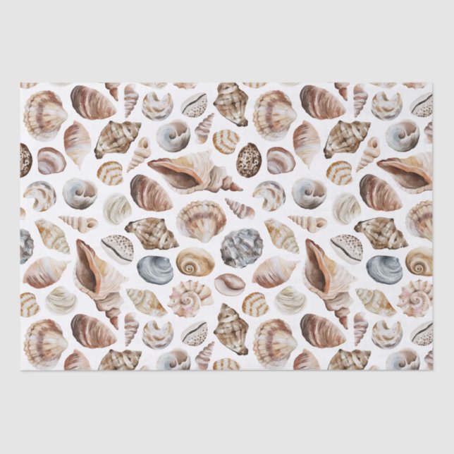 Papel De Seda Padrão de Seashell (Frente )