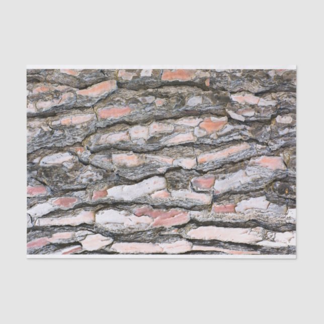 Papel De Seda Padrão do latido do pinheiro (Frente )