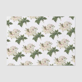 Papel De Seda Padrão do ventilador rosa