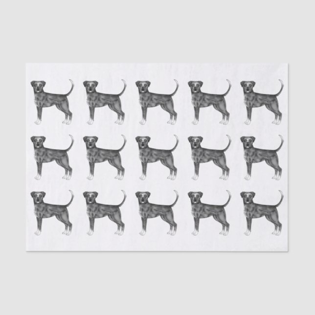 Papel De Seda Padrão Fofo de um Cachorro Boxer em Preto e Branco (Frente )