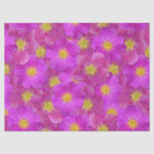 Padrão Selvagem de Rosa