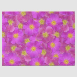 Papel De Seda Padrão Selvagem de Rosa