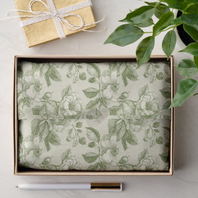 Papel De Seda Padrão Toile Botânico Vintage Verde (Presente)
