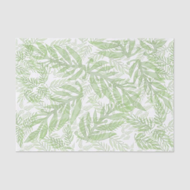 Papel De Seda Padrão verde pálido (Frente )