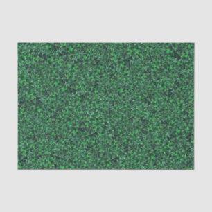 Papel De Seda Padrões Botânicos da Legância de Folheto