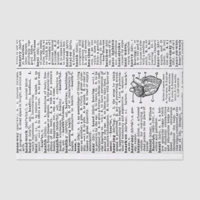 Papel De Seda Página Dicionário (Frente )