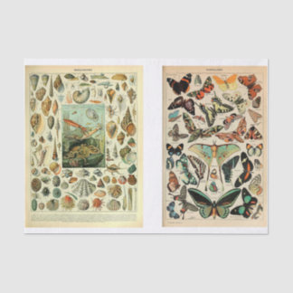 Papel De Seda Páginas de Millet
