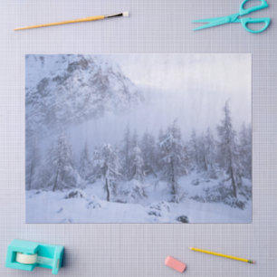 Papel De Seda Paisagem de inverno, nevoeiro, floresta de abetos