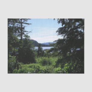 Papel De Seda Paisagem no Alaska Belo Alaska Fotografia